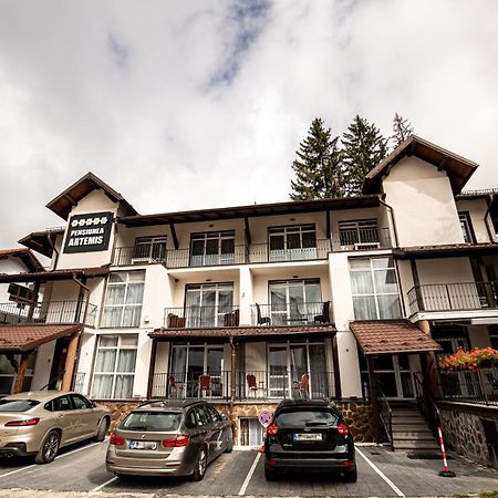 Artemis Villa Poiana Brasov Buitenkant foto