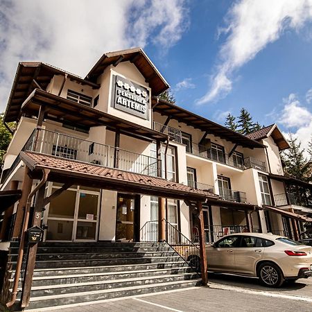 Artemis Villa Poiana Brasov Buitenkant foto