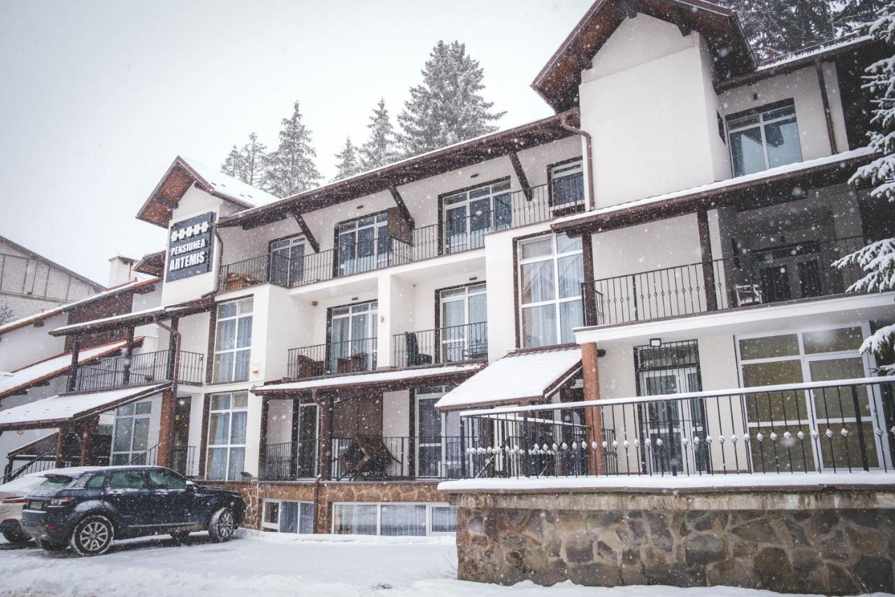 Artemis Villa Poiana Brasov Buitenkant foto