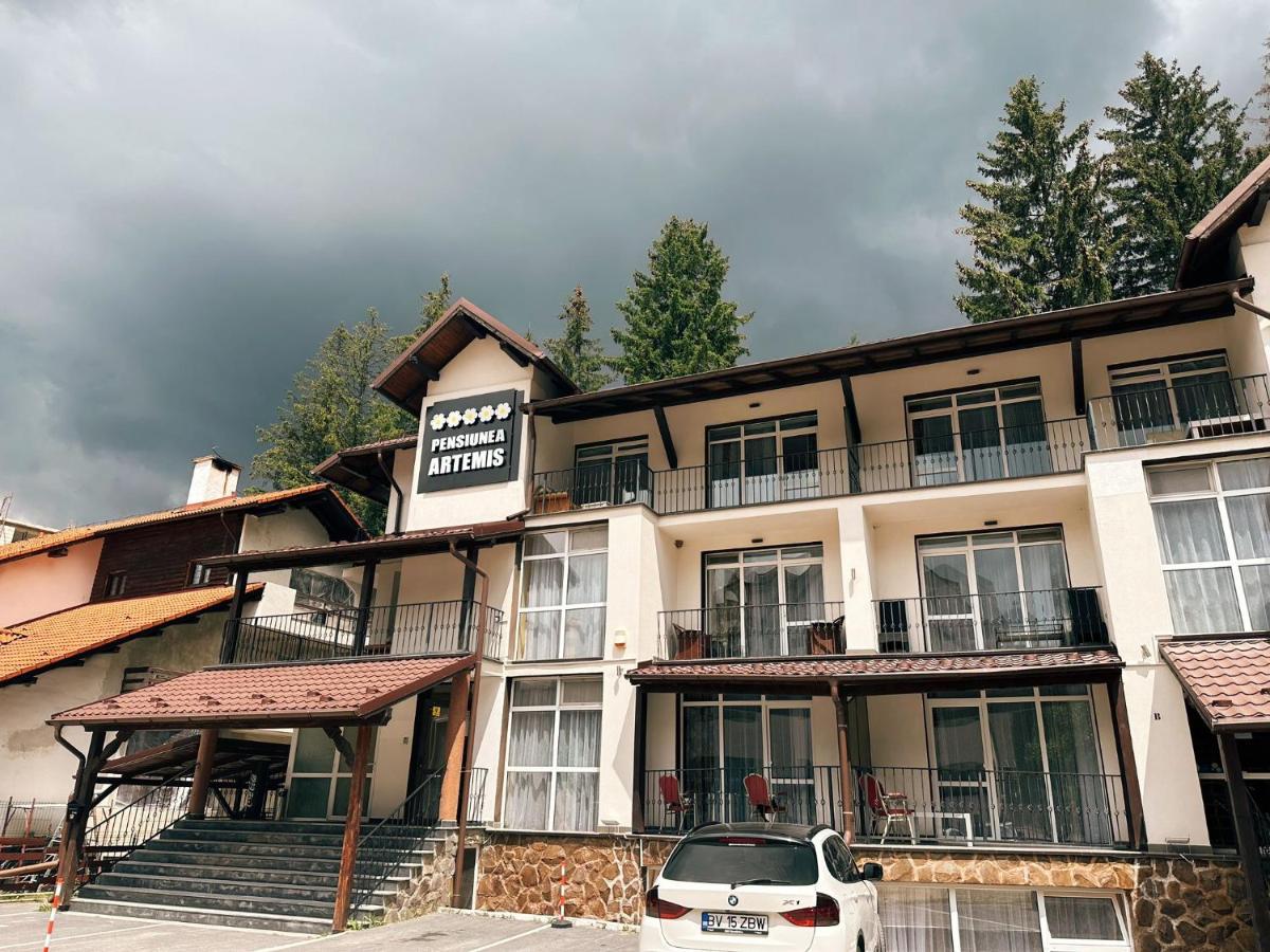 Artemis Villa Poiana Brasov Buitenkant foto