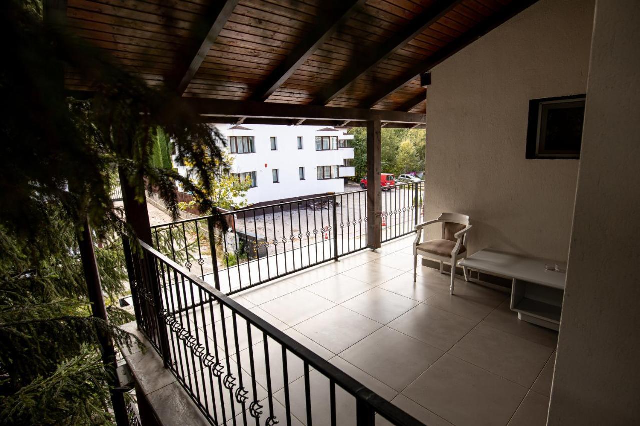 Artemis Villa Poiana Brasov Buitenkant foto