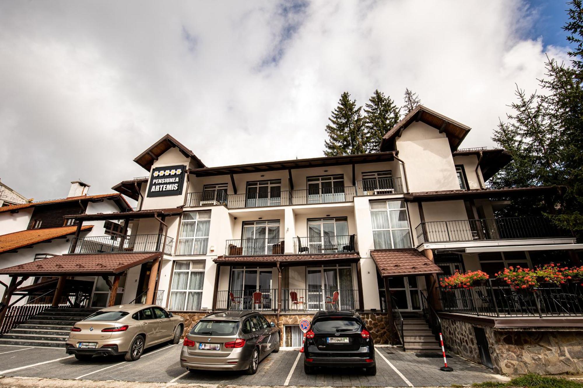 Artemis Villa Poiana Brasov Buitenkant foto