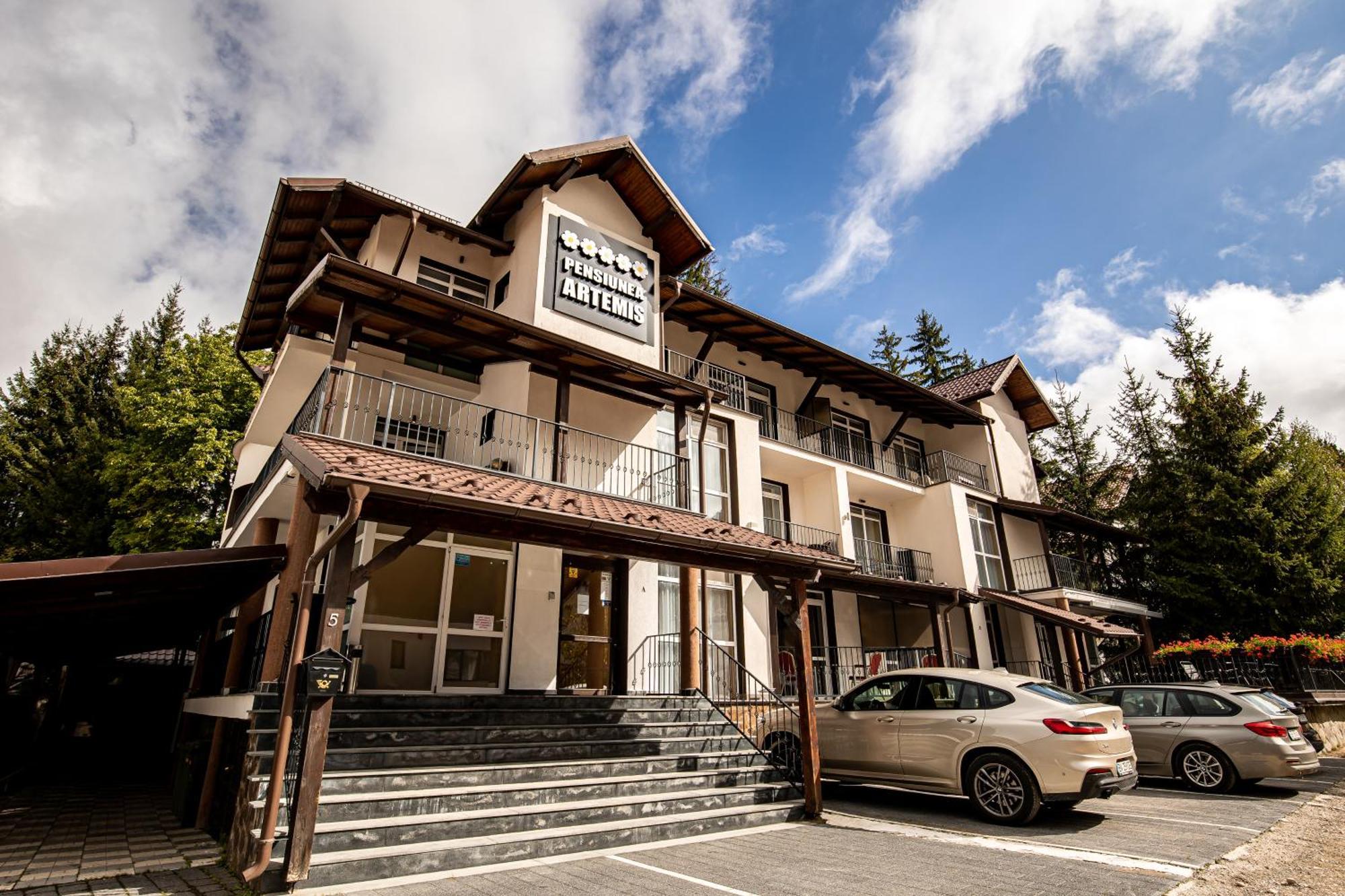 Artemis Villa Poiana Brasov Buitenkant foto
