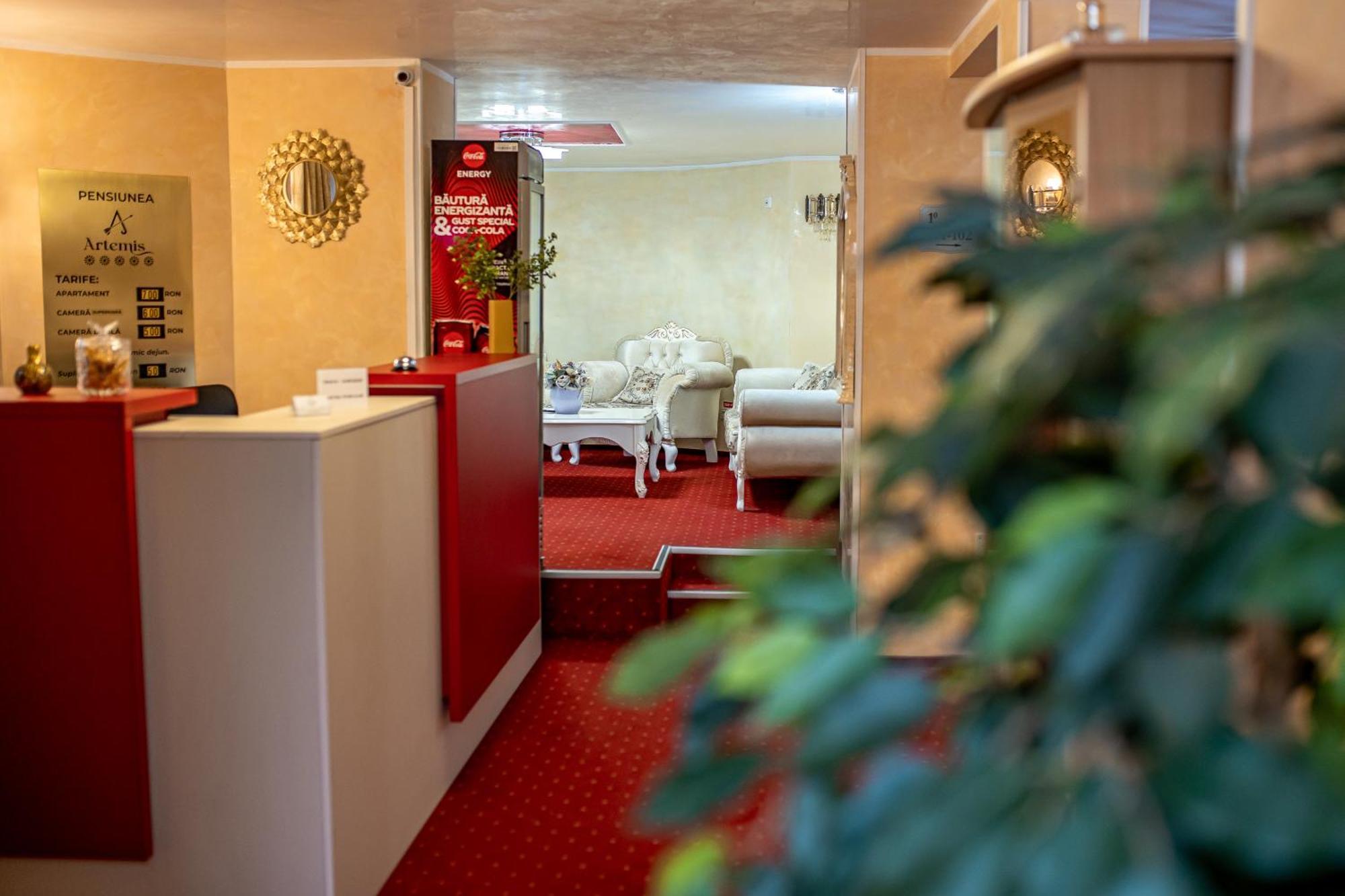 Artemis Villa Poiana Brasov Buitenkant foto