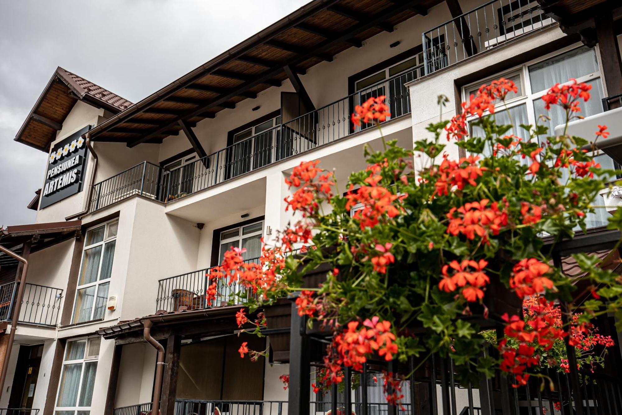 Artemis Villa Poiana Brasov Buitenkant foto