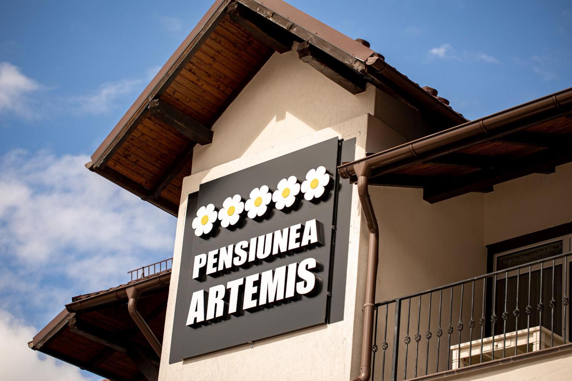 Artemis Villa Poiana Brasov Buitenkant foto