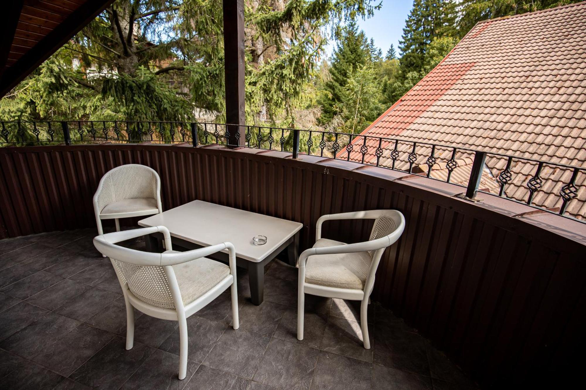 Artemis Villa Poiana Brasov Buitenkant foto