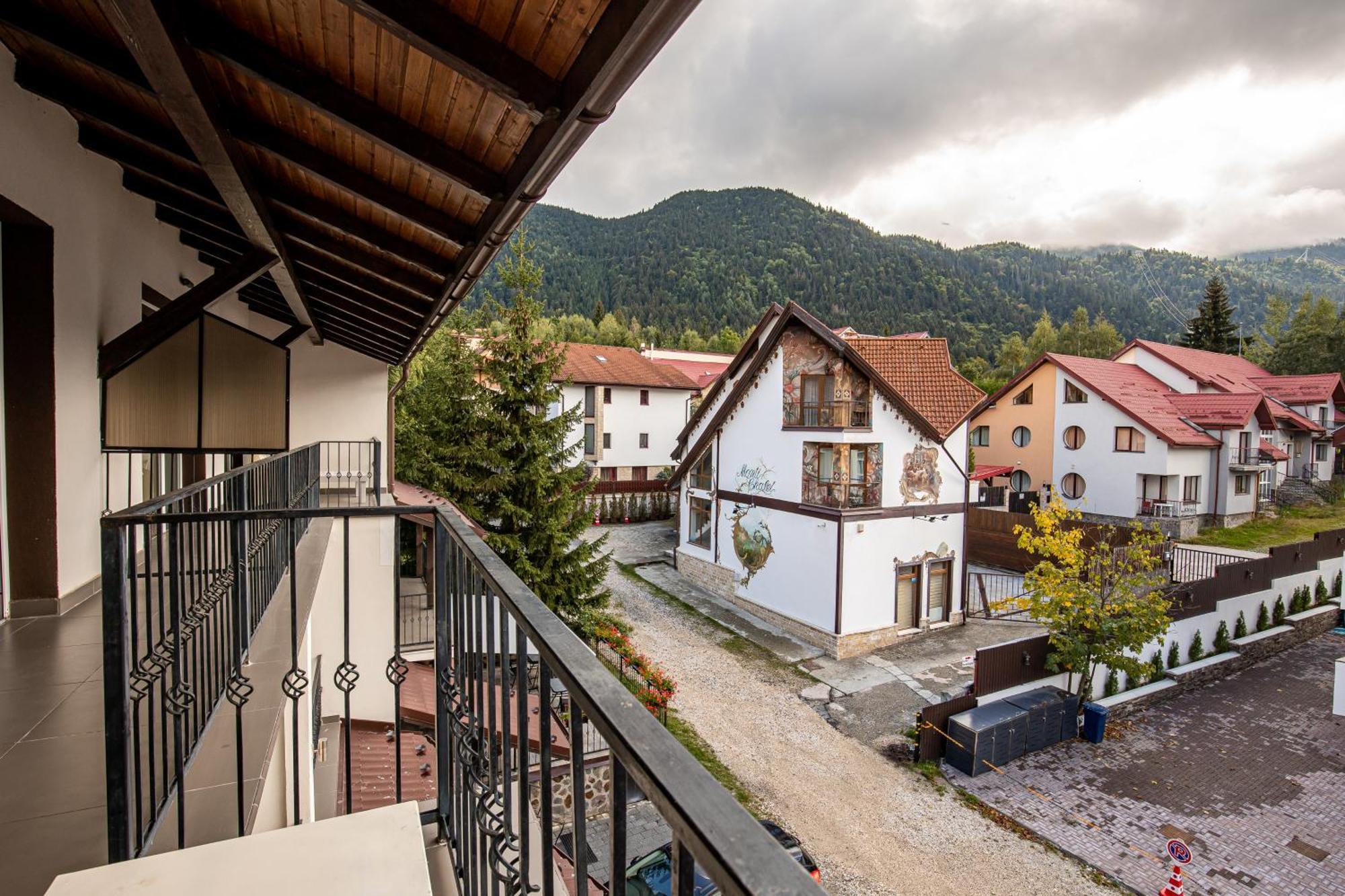 Artemis Villa Poiana Brasov Buitenkant foto
