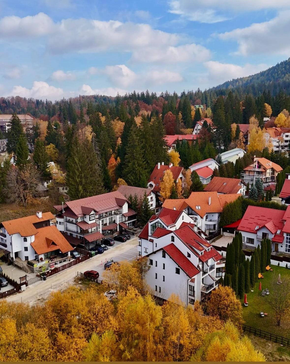 Artemis Villa Poiana Brasov Buitenkant foto