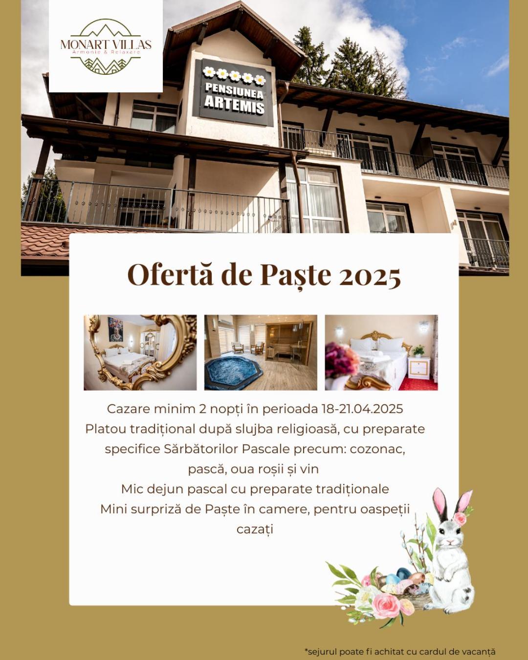Artemis Villa Poiana Brasov Buitenkant foto